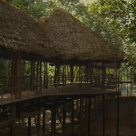 Treehouse Lodge Yucuruche 외부 사진