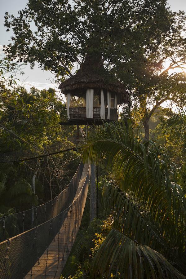 Treehouse Lodge Yucuruche 외부 사진