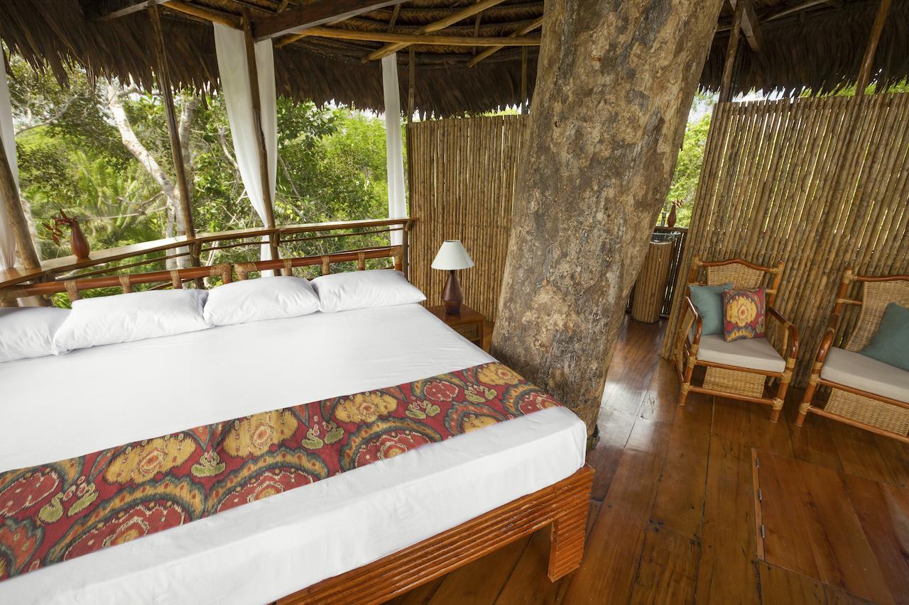 Treehouse Lodge Yucuruche 객실 사진