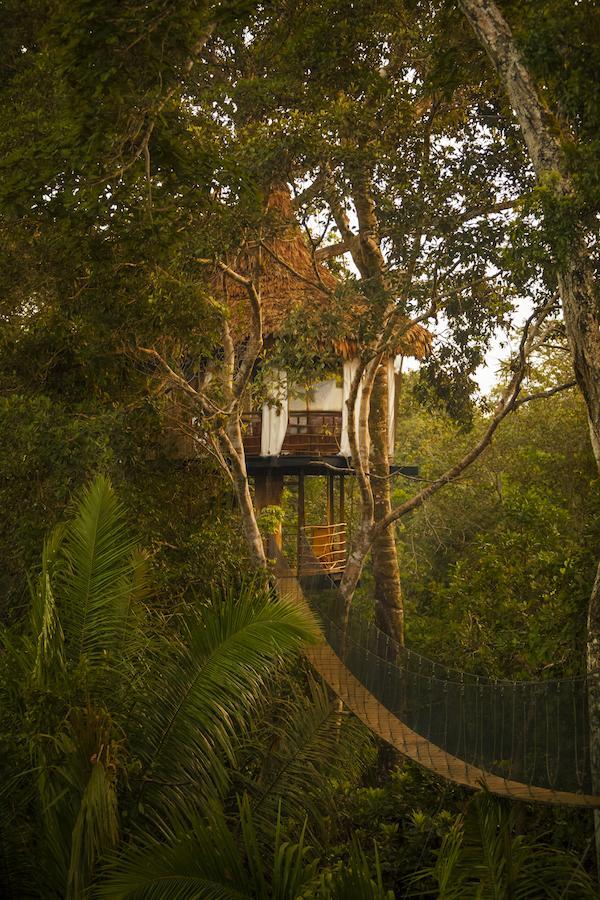 Treehouse Lodge Yucuruche 외부 사진