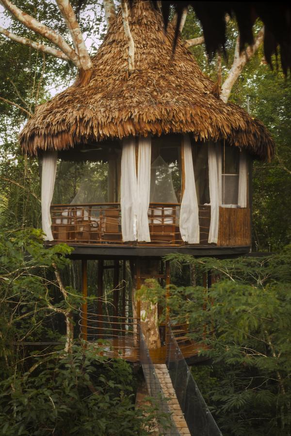 Treehouse Lodge Yucuruche 외부 사진