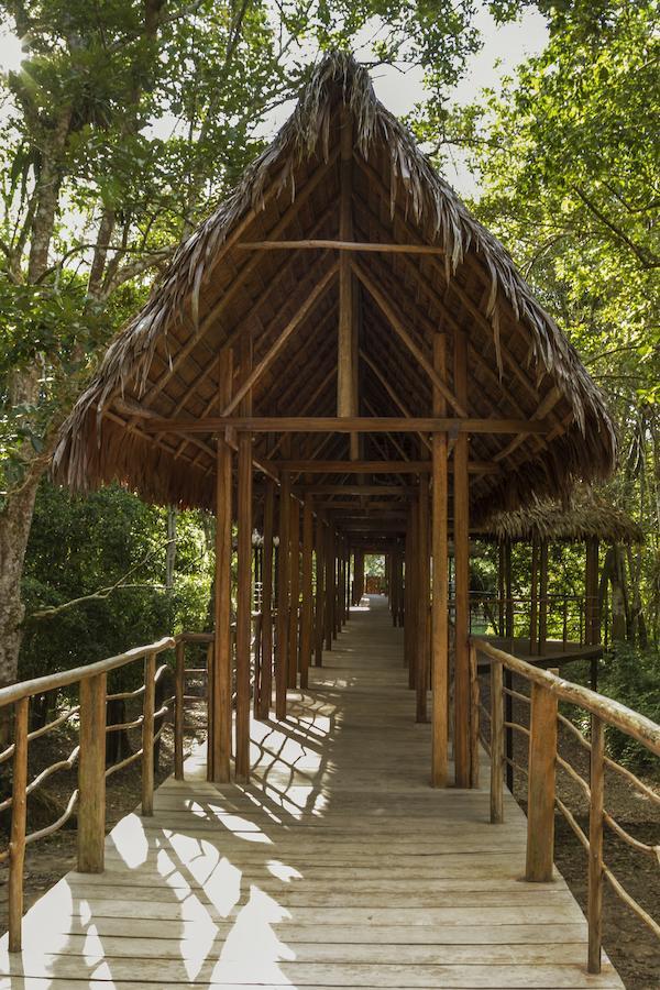 Treehouse Lodge Yucuruche 외부 사진