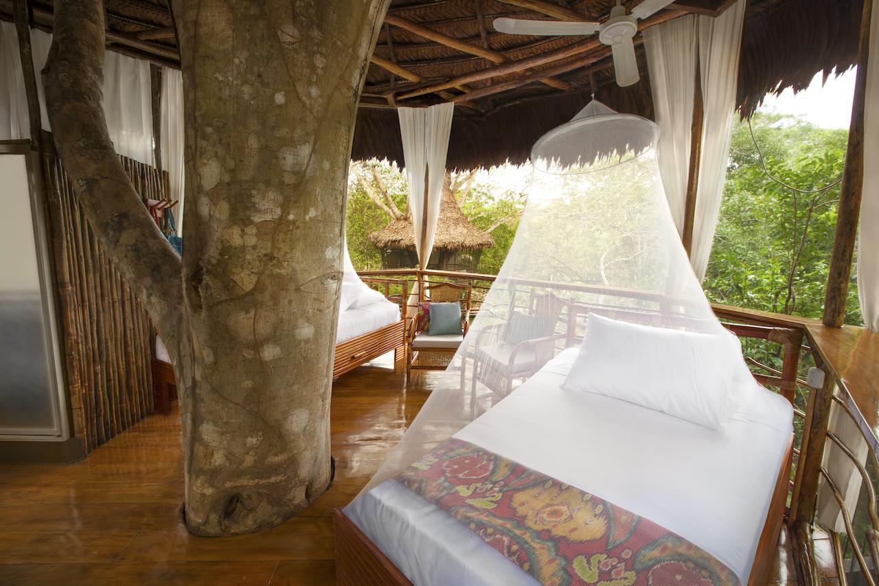 Treehouse Lodge Yucuruche 객실 사진