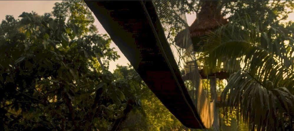 Treehouse Lodge Yucuruche 외부 사진