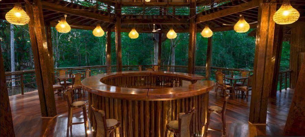 Treehouse Lodge Yucuruche 외부 사진